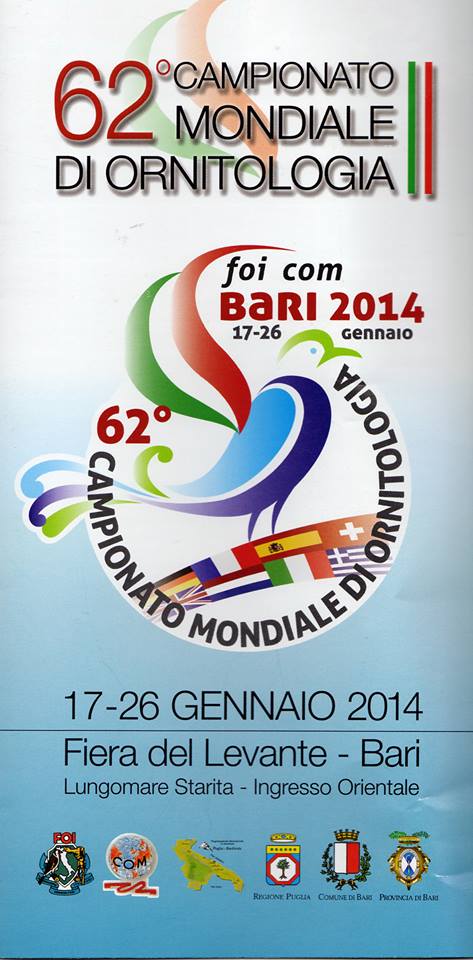 1004581_662078777153816_59011242_n1