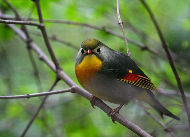 409159356_ccce681ca4_o