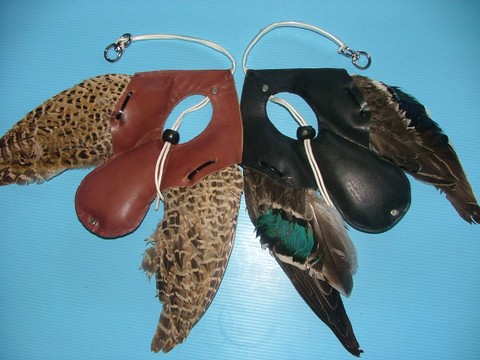 Logori-con-ali_thumb